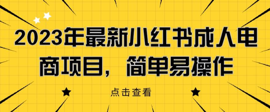 2023年最新小红书成人电商项目，简单易操作【详细教程】【揭秘】-辉硕副业