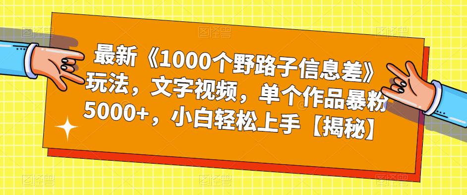 最新《1000个野路子信息差》玩法，文字视频，单个作品暴粉5000+，小白轻松上手【揭秘】-辉硕副业