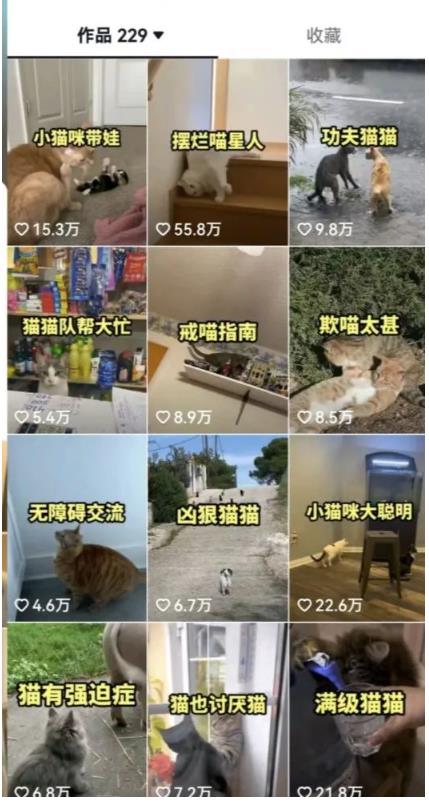 拆解：抖音盘点类中视频变现副业项目，视频版一条龙大解析分享给你-辉硕副业