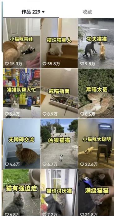 拆解抖音盘点类中视频变现副业项目，视频版一条龙大解析分享给你【视频课程】-辉硕副业