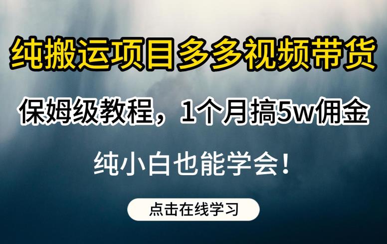 纯搬运项目多多视频带货保姆级教程，1个月搞5w佣金，纯小白也能学会【揭秘】-辉硕副业