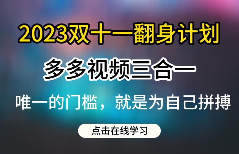 2023双十一翻身计划，多多视频带货三合一玩法教程【揭秘】-辉硕副业