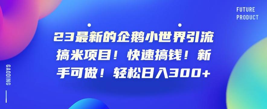 23最新的企鹅小世界引流搞米项目！快速搞钱！新手可做！轻松日入300+【揭秘】-辉硕副业