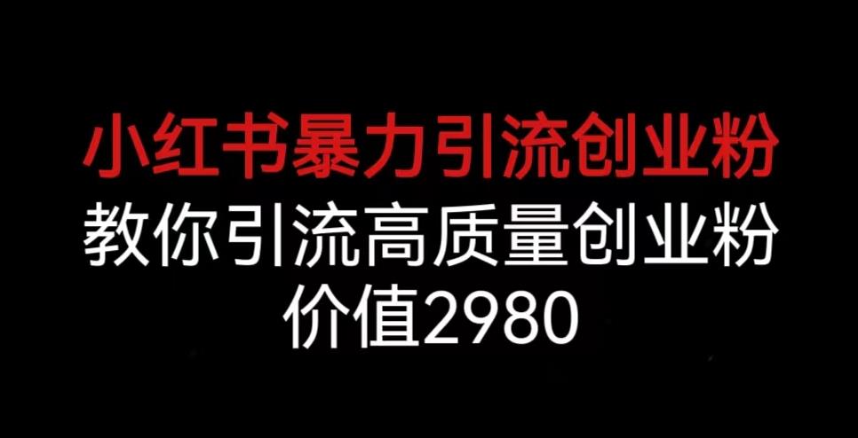 小红书暴力引流创业粉，教你引流高质量创业粉，价值2980【揭秘】-辉硕副业