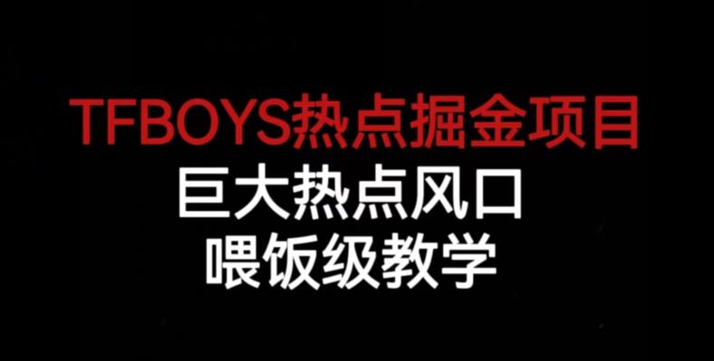TFBOYS热点掘金项目，巨大热点风口，喂饭级教学-辉硕副业