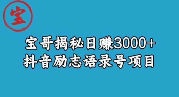 宝哥揭秘日赚3000+抖音励志语录号短视频变现项目-辉硕副业
