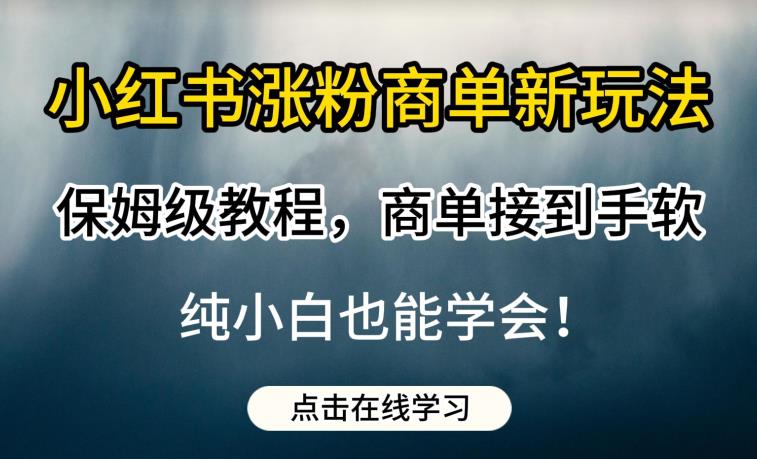 小红书涨粉商单新玩法，保姆级教程，商单接到手软，纯小白也能学会【揭秘】-辉硕副业
