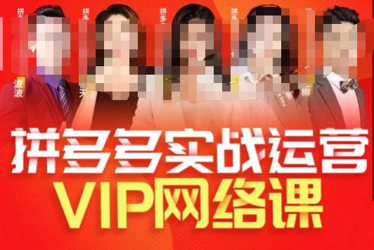 推易拼多多VIP全套直播课程，拼多多店铺实操玩法+实战玩法选款内功+直通车高阶等-辉硕副业