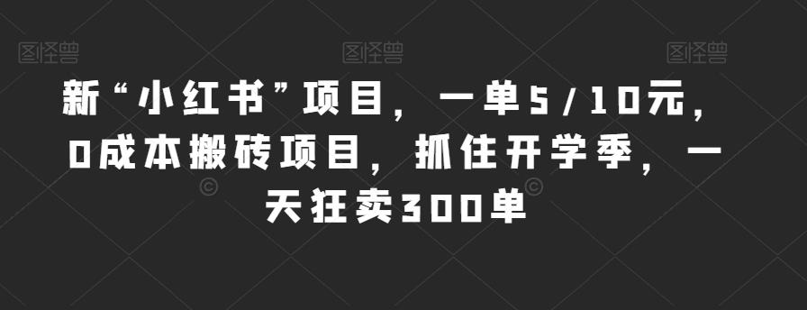 新“小红书”项目，一单5/10元，0成本搬砖项目，抓住开学季，一天狂卖300单【揭秘】-辉硕副业