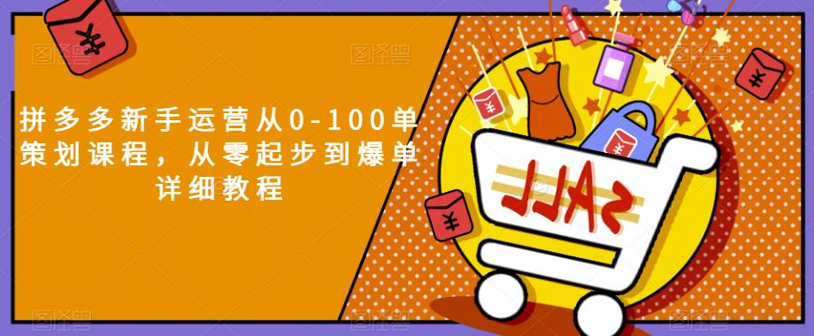 拼多多新手运营从0-100单策划课程，从零起步到爆单详细教程-辉硕副业
