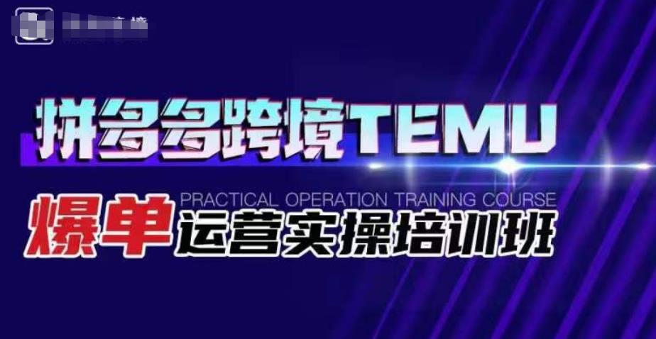 拼多多跨境TEMU爆单运营实操培训班，海外拼多多的选品、运营、爆单-辉硕副业