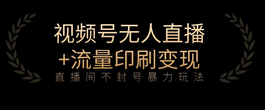 全网首发视频号不封号无人直播暴利玩法+流量印刷机变现，日入1000+【揭秘】-辉硕副业