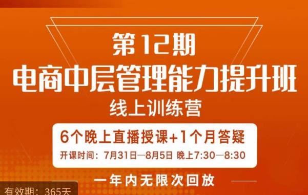 陈少珊·电商中层管理能力提升班，学习对象-电商公司各个岗位的主管，20人人以内的电商公司老板-辉硕副业