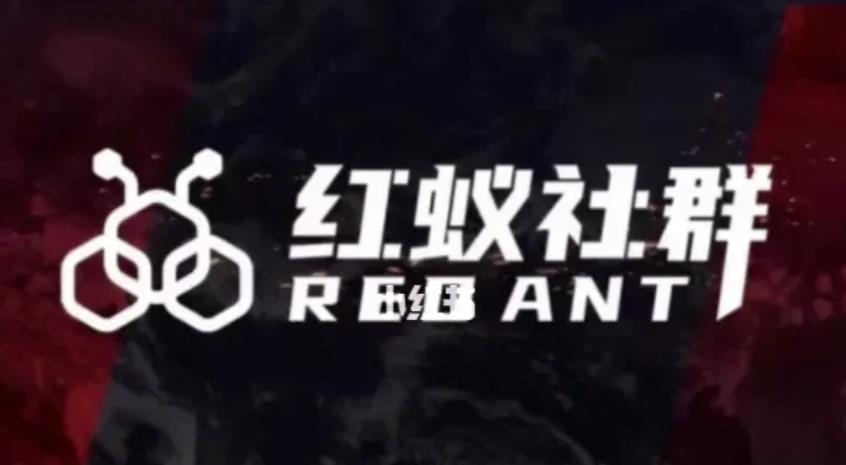 社群运营：红蚁社群【48节落地系统课程+2000人高端社群】-辉硕副业