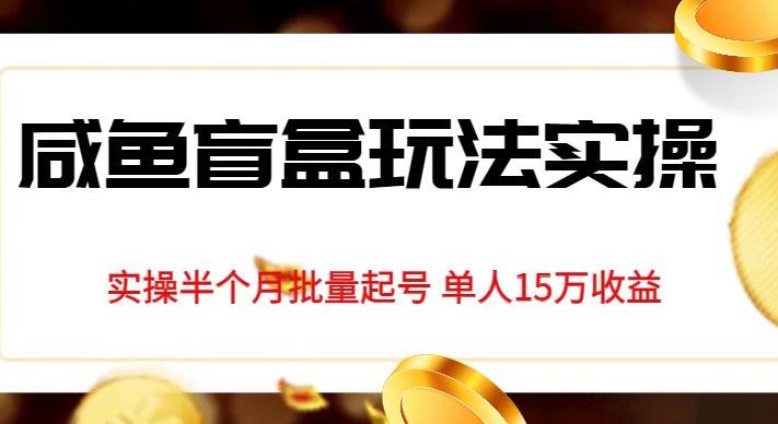 独家首发咸鱼盲盒玩法实操，半个月批量起号单人15万收益【揭秘】-辉硕副业