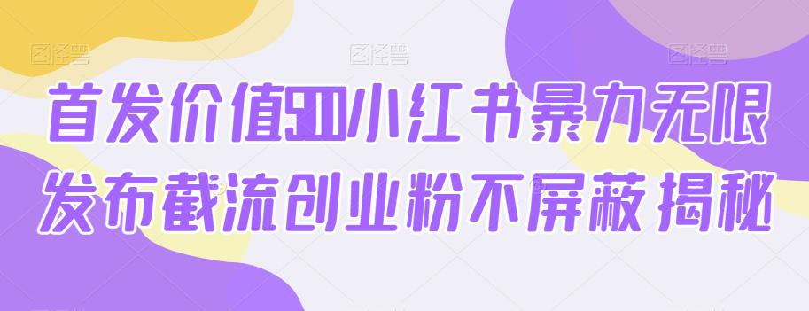 首发价值5100小红书暴力无限发布截流创业粉不屏蔽揭秘-辉硕副业