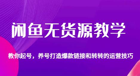 闲鱼无货源教学，教你起号，养号打造爆款链接以及转转的运营技巧-辉硕副业