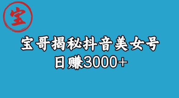宝哥揭秘抖音美女号玩法，日赚3000+【揭秘】-辉硕副业