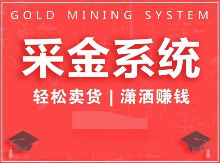采金系统2.0，私域成交，快速成交收钱，轻松卖货，业绩暴涨，潇洒赚钱-辉硕副业
