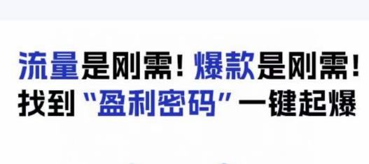电商盈利精品课：6大盈利密码让产品更好卖，流量是刚需！爆款是刚需！找到”盈利密码”一键起爆-辉硕副业