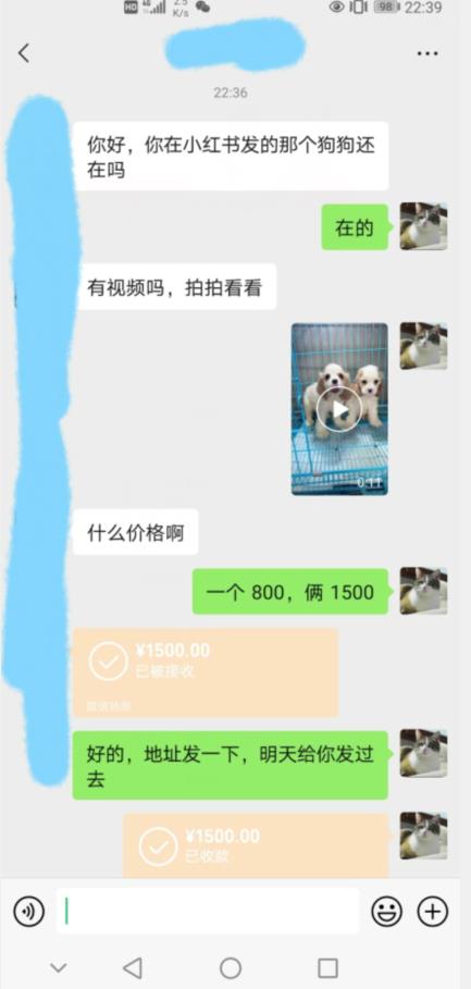 外边收费3980的同城萌宠项目，用最冷门的玩法冲击最热门的市场【揭秘】-辉硕副业