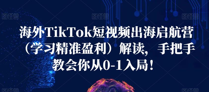 海外TikTok短视频出海启航营（学习精准盈利）解读，手把手教会你从0-1入局！-辉硕副业