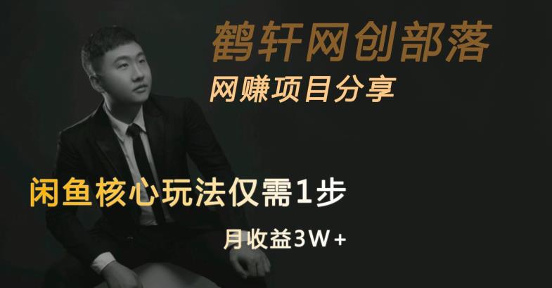 闲鱼核心玩法不卖货也能1年变现20W，玩法简单-辉硕副业