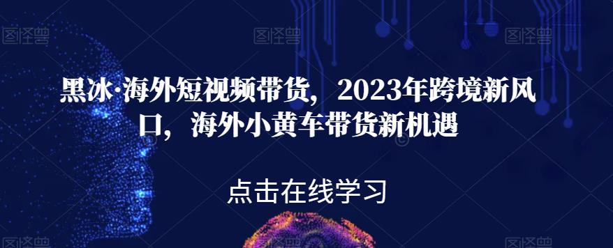 黑冰·海外短视频带货，2023年跨境新风口，海外小黄车带货新机遇-辉硕副业