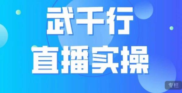 武千行直播实操课，账号定位、带货账号搭建、选品等-辉硕副业