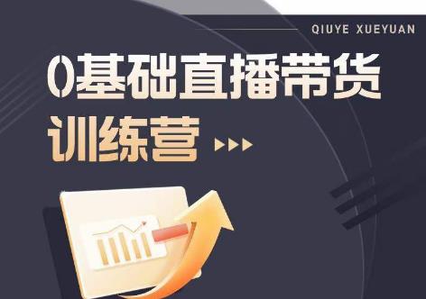 2023直播带货入门进阶运营实训课程，新手直播运营培训实操课-辉硕副业
