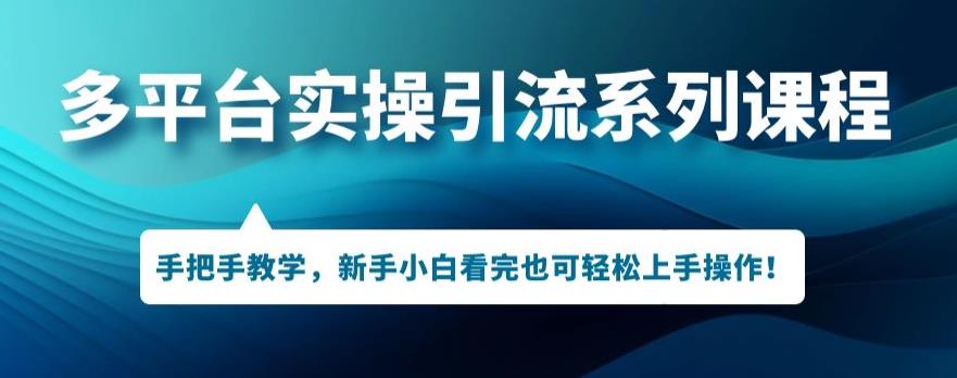 多平台引流实操系列课程，新手小白看完也可轻松上手进行引流操作-辉硕副业