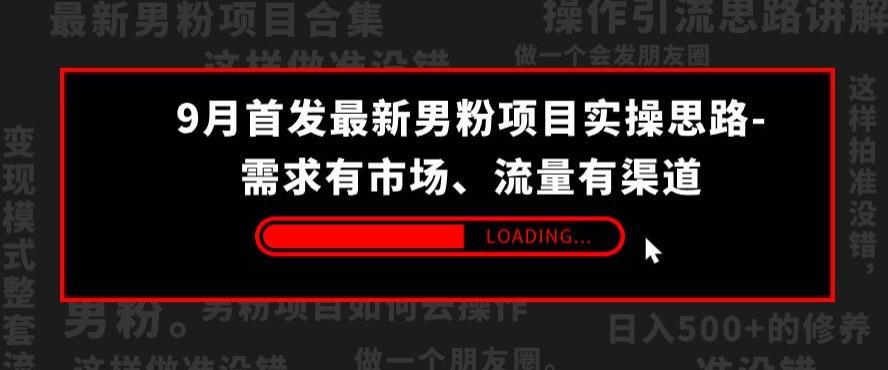 9月首发最新男粉项目实操思路-需求有市场，流量有渠道【揭秘】-辉硕副业