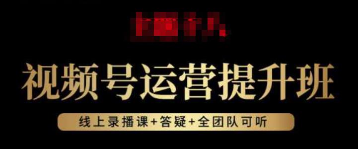 视频号运营提升班：视频号起号逻辑，视频号选品技巧及带货-辉硕副业