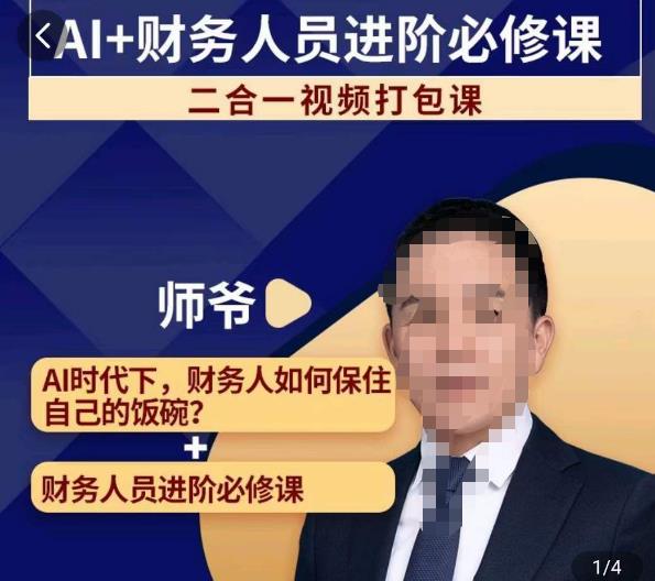 AI+财务人员进阶必修课二合一视频打包课，财务人员进阶必修课-辉硕副业