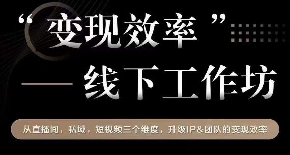 变现效率线下工作坊，从‮播直‬间、私域、‮视短‬频‮个三‬维度，升级IP和团队变现效率-辉硕副业