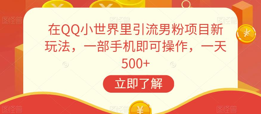 在QQ小世界里引流男粉项目新玩法，一部手机即可操作，一天500+【揭秘】-辉硕副业