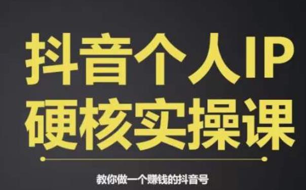 个人IP创富系统实战课，商业定位，流量打造，短视频变现，教你做个赚钱的抖音号-辉硕副业