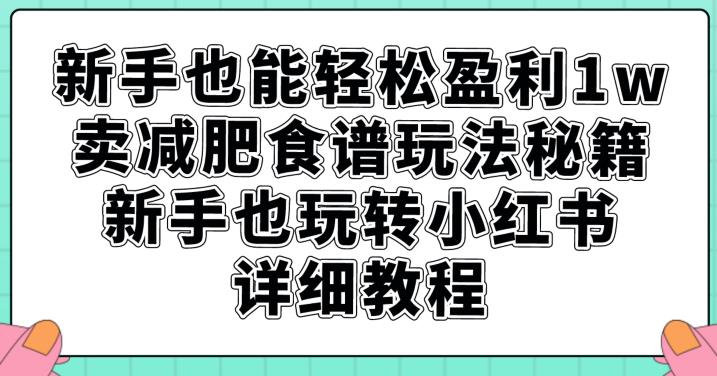 新手也能轻松盈利1w，卖减肥食谱玩法秘籍，新手也玩转小红书详细教程【揭秘】-辉硕副业