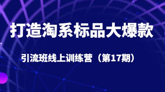 打造淘系标品大爆款引流班线上训练营（第17期）5天直播授课-辉硕副业