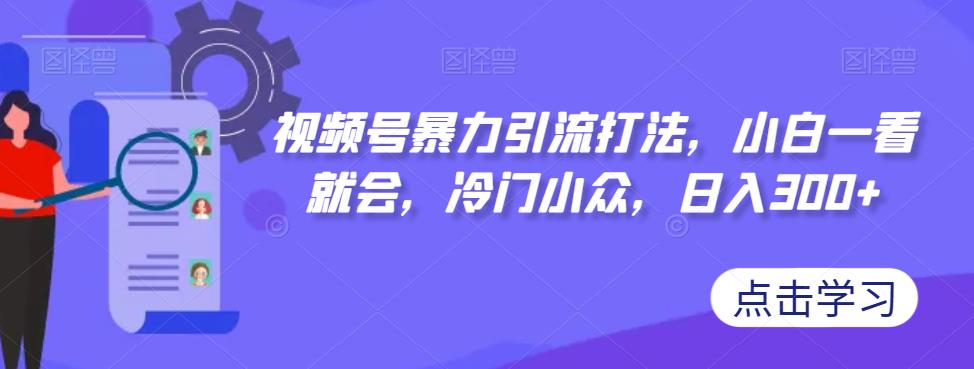视频号暴力引流打法，小白一看就会，冷门小众，日入300+【揭秘】-辉硕副业
