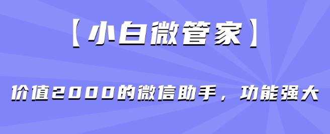 【小白微管家】价值2000的微信助手，功能强大-辉硕副业