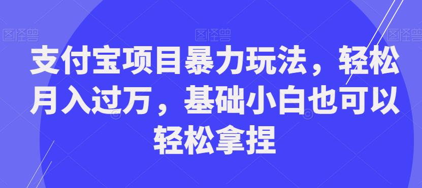 支付宝项目暴力玩法，轻松月入过万，基础小白也可以轻松拿捏【揭秘】-辉硕副业