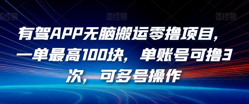 有驾APP无脑搬运零撸项目，一单最高100块，单账号可撸3次，可多号操作【揭秘】-辉硕副业