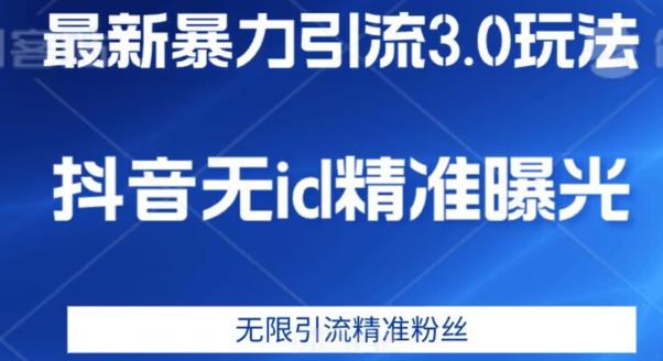 最新暴力引流3.0版本，抖音无id暴力引流各行业精准用户-辉硕副业