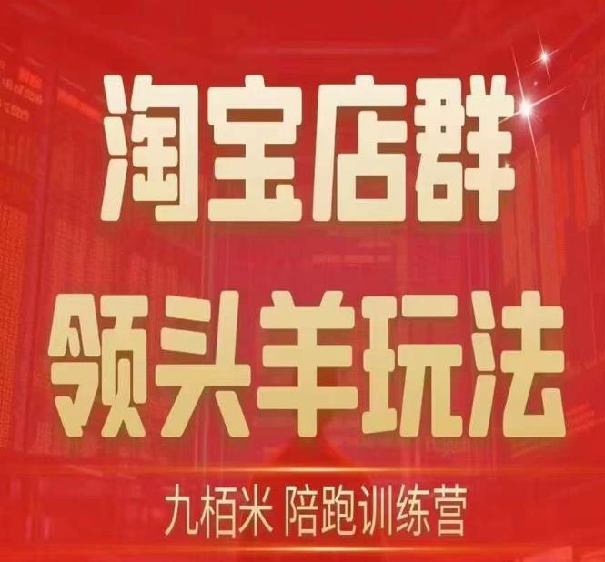 九栢米-淘宝店群领头羊玩法，教你整个淘宝店群领头羊玩法以及精细化/终极蓝海/尾销等内容-辉硕副业