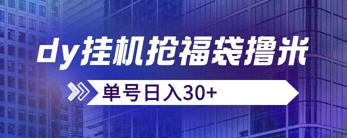 抖音抢福袋/抢红包脚本，只要号多放着一天抢个30+没问题的【揭秘】-辉硕副业