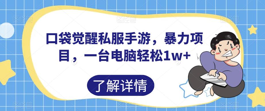 口袋觉醒私服手游，暴力项目，一台电脑轻松1w+【揭秘】-辉硕副业