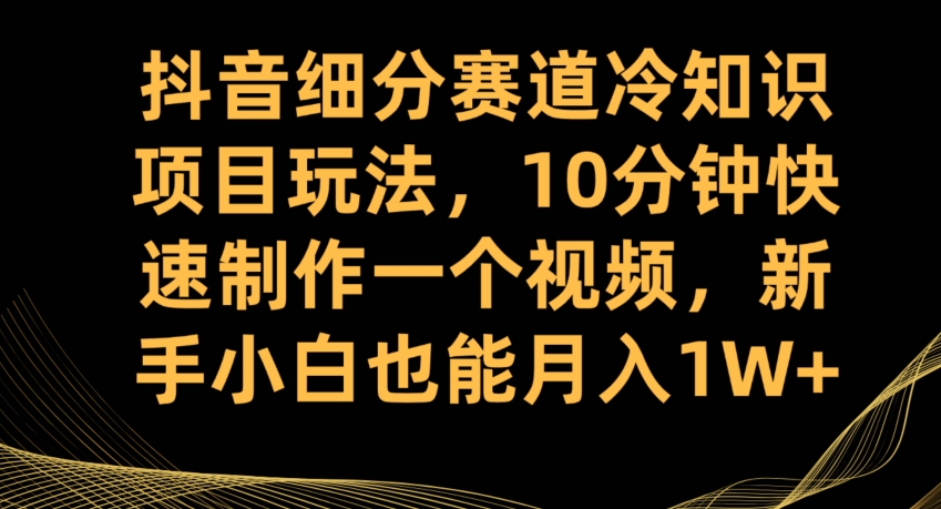 抖音细分赛道冷知识项目玩法，10分钟快速制作一个视频，新手小白也能月入1W+【揭秘】-辉硕副业