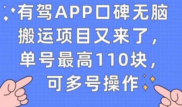 有驾APP口碑无脑搬运项目又来了，单号最高110块，可多号操作-辉硕副业