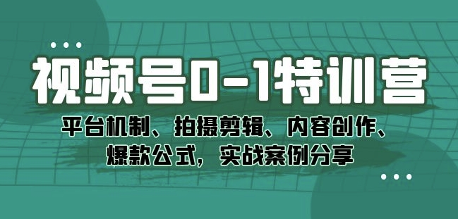视频号0-1特训营：平台机制、拍摄剪辑、内容创作、爆款公式，实战案例分享-辉硕副业